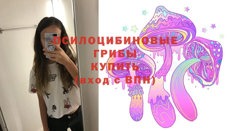 Галлюциногенные грибы Magic Shrooms Жиздра